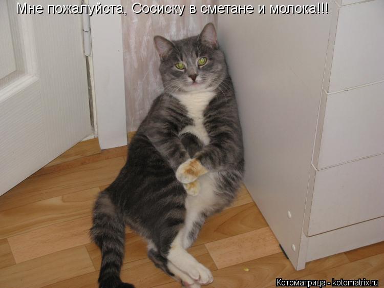 Котоматрица: Мне пожалуйста, Сосиску в сметане и молока!!!