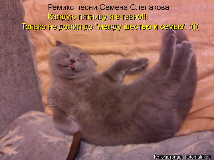 Ремикс песни Семена Слепакова Каждую пятницу я в гавно!!! Только не дожил до "между шестью и семью" :... Котоматрица: Ремикс песни Семена Слепакова Каждую пятницу я в гавно!!! Только не дожил до "между шестью и семью" :(((