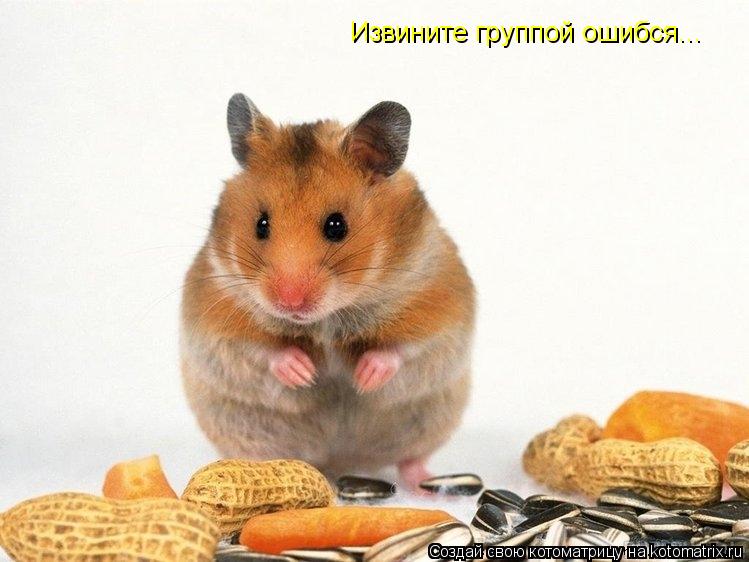 Извините группой ошибся...... Котоматрица: Извините группой ошибся...