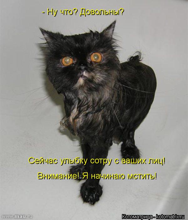 Котоматрица: Сейчас улыбку сотру с ваших лиц! Внимание! Я начинаю мстить! - Ну что? Довольны?