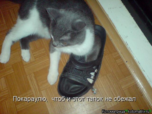 Котоматрица: Покараулю,  чтоб и этот тапок не сбежал