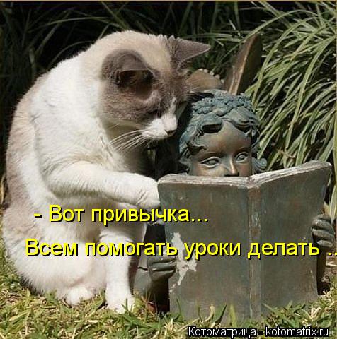 Котоматрица: - Вот привычка...  Всем помогать уроки делать ....