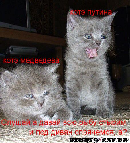 котэ путина котэ медведева Слушай,а давай всю рыбу стырим и под диван спрячемся, а? ,... Котоматрица: котэ путина котэ медведева Слушай,а давай всю рыбу стырим и под диван спрячемся, а? ,