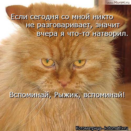 Если сегодня со мной никто не разговаривает, значит вчера я что-то натворил. Вспоминай, Рыжик, вспом... Котоматрица: Если сегодня со мной никто не разговаривает, значит вчера я что-то натворил. Вспоминай, Рыжик, вспоминай!