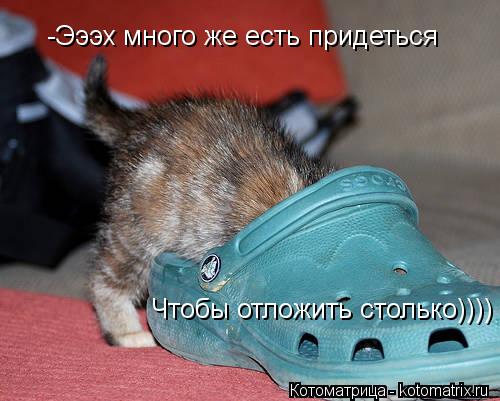 -Эээх много же есть придеться Чтобы отложить столько))))... Котоматрица: -Эээх много же есть придеться Чтобы отложить столько))))