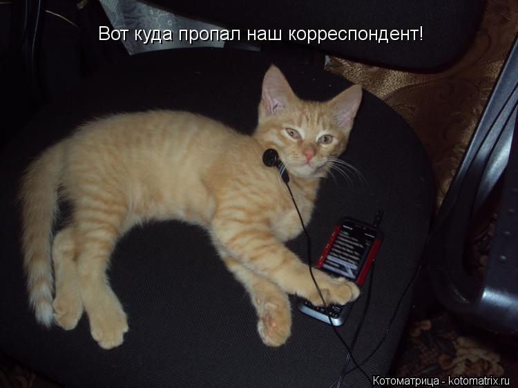 Котоматрица: Вот куда пропал наш корреспондент!