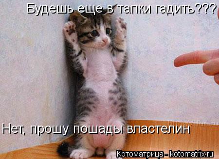 Будешь еще в тапки гадить??? Нет, прошу пошады властелин... Котоматрица: Будешь еще в тапки гадить??? Нет, прошу пошады властелин