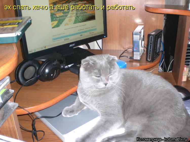 Котоматрица: эх спать хачю а ешё работать и работать