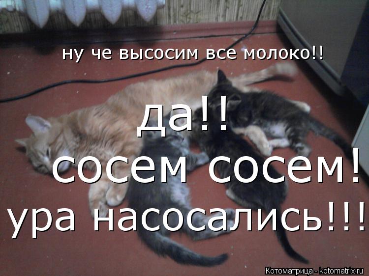 Котоматрица: ну че высосим все молоко!! да!! сосем сосем!! ура насосались!!!!!!!!!!!!!!!!!!!!!!!!!!!!!