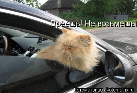 Котоматрица: Врёёшь! Не возьмёшь!