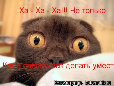 Котоматрица: Ха - Ха - Ха!!! Не только  Кот в сапогах так делать умеет!