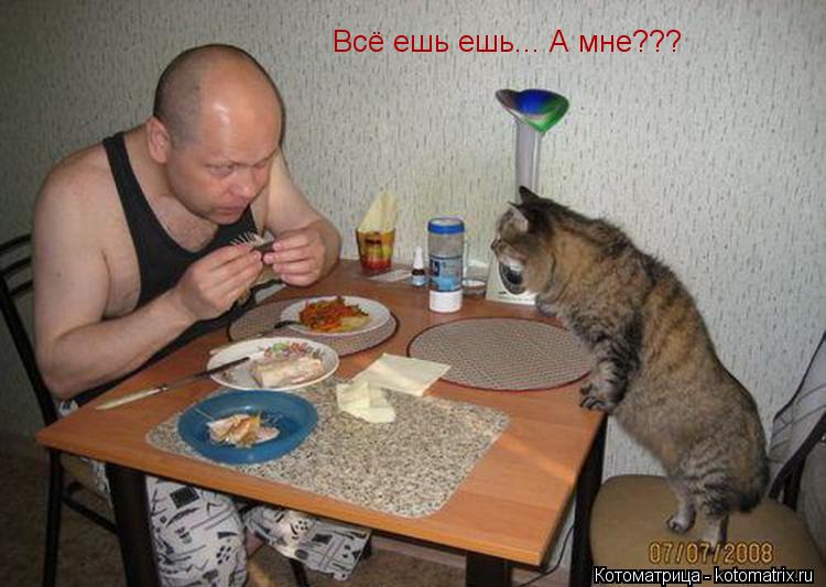 Всё ешь ешь... А мне???... Котоматрица: Всё ешь ешь... А мне???