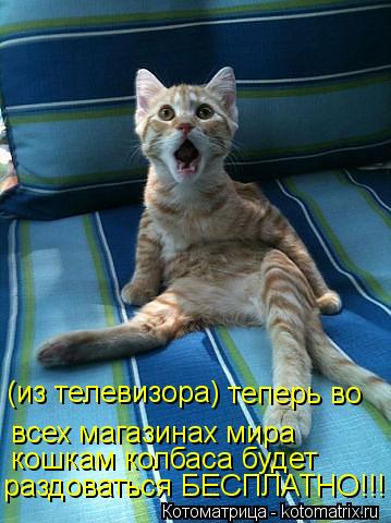 Котоматрица: (из телевизора) теперь во всех магазинах мира кошкам колбаса будет раздоваться БЕСПЛАТНО!!!
