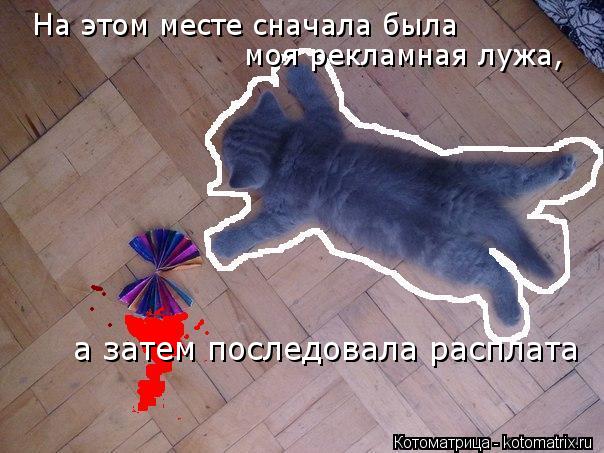 На этом месте сначала была моя рекламная лужа, а затем последовала расплата... Котоматрица: На этом месте сначала была моя рекламная лужа, а затем последовала расплата