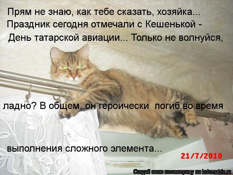 Котоматрица: Прям не знаю, как тебе сказать, хозяйка... Праздник сегодня отмечали с Кешенькой -  День татарской авиации... Только не волнуйся,  ладно? В обще