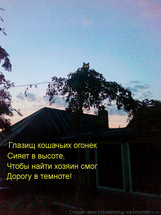 Котоматрица: Глазищ кошачьих огонек Сияет в высоте, Чтобы найти хозяин смог Дорогу в темноте!