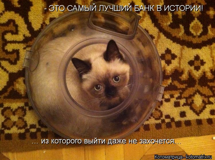 Котоматрица: - ЭТО САМЫЙ ЛУЧШИЙ БАНК В ИСТОРИИ! ... из которого выйти даже не захочется...