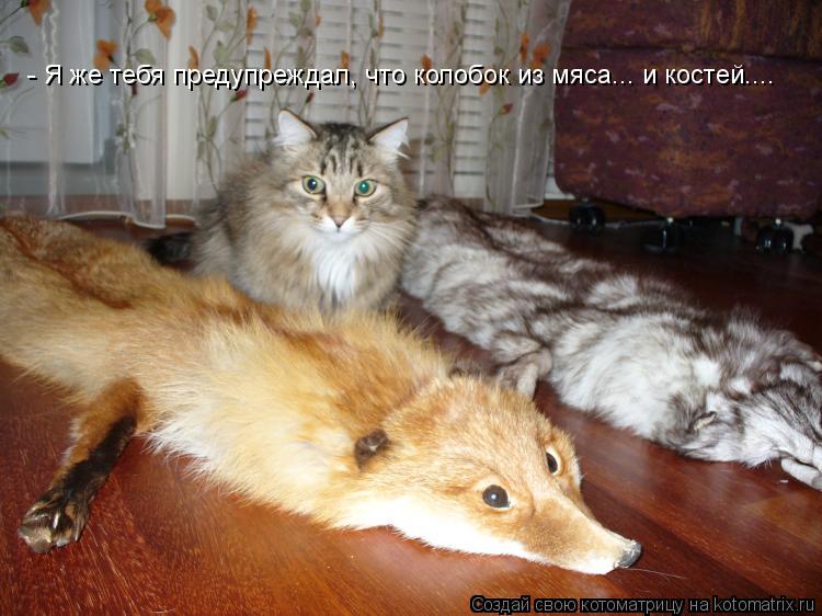 Котоматрица: - Я же тебя предупреждал, что колобок из мяса... и костей....