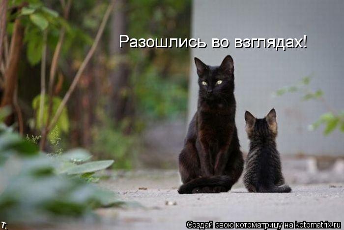 Разошлись во взглядах!... Котоматрица: Разошлись во взглядах!