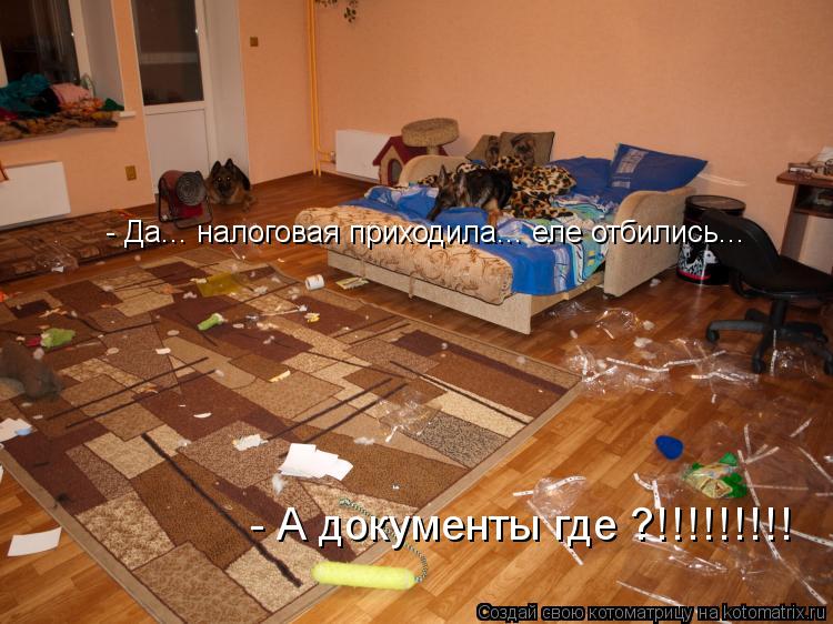 Котоматрица: - Да... налоговая приходила... еле отбились... - А документы где ?!!!!!!!!!
