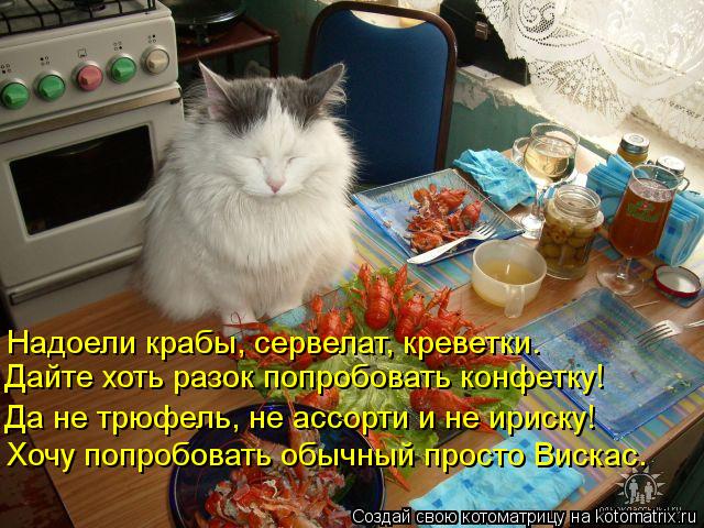 Надоели крабы, сервелат, креветки. Дайте хоть разок попробовать конфетку! Да не трюфель, не ассорти и... Котоматрица: Надоели крабы, сервелат, креветки. Дайте хоть разок попробовать конфетку! Да не трюфель, не ассорти и не ириску! Хочу попробовать обычный пр