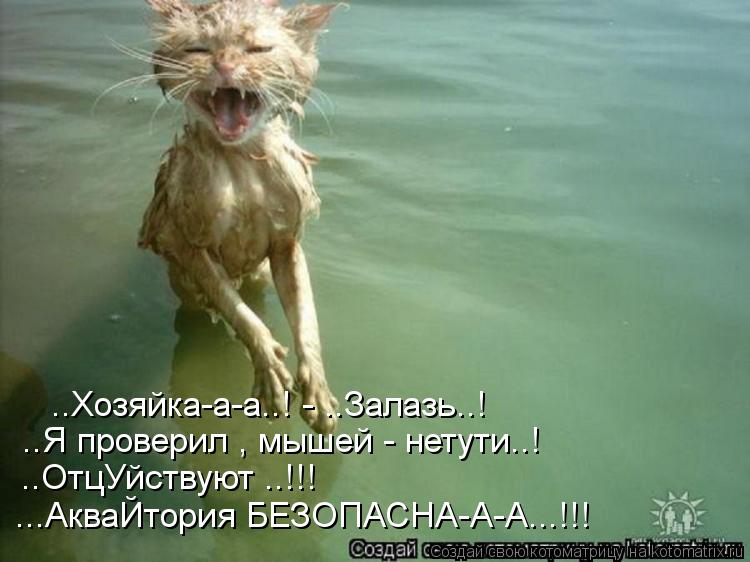 ..Хозяйка-а-а..! - ..Залазь..! ..Я проверил , мышей - нетути..! ..ОтцУйствуют ..!!! ...АкваЙтория Б... Котоматрица: ..Хозяйка-а-а..! - ..Залазь..! ..Я проверил , мышей - нетути..! ..ОтцУйствуют ..!!! ...АкваЙтория БЕЗОПАСНА-А-А...!!!