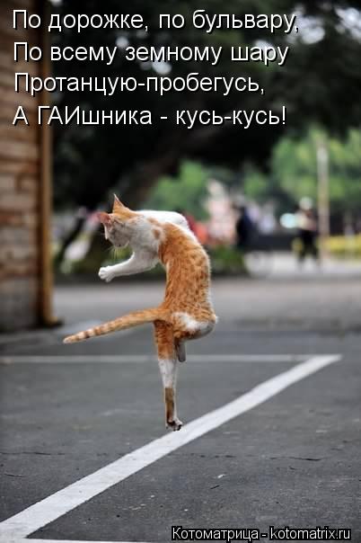 По дорожке, по бульвару, По всему земному шару Протанцую-пробегусь, А ГАИшника - кусь-кусь!... Котоматрица: По дорожке, по бульвару, По всему земному шару Протанцую-пробегусь, А ГАИшника - кусь-кусь!