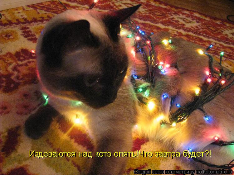 Котоматрица: Издеваются над котэ опять!Что завтра будет?!
