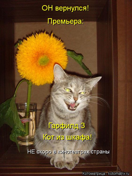 Котоматрица: ОН вернулся! Премьера: Гарфилд 3 Кот из шкафа! НЕ скоро в кинотеатрах страны