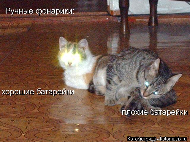 Котоматрица: Ручные фонарики: хорошие батарейки плохие батарейки