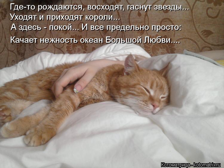 Где-то рождаются, восходят, гаснут звезды... Уходят и приходят короли... А здесь - покой... И все пре... Котоматрица: Где-то рождаются, восходят, гаснут звезды... Уходят и приходят короли... А здесь - покой... И все предельно просто: Качает нежность океан Большо