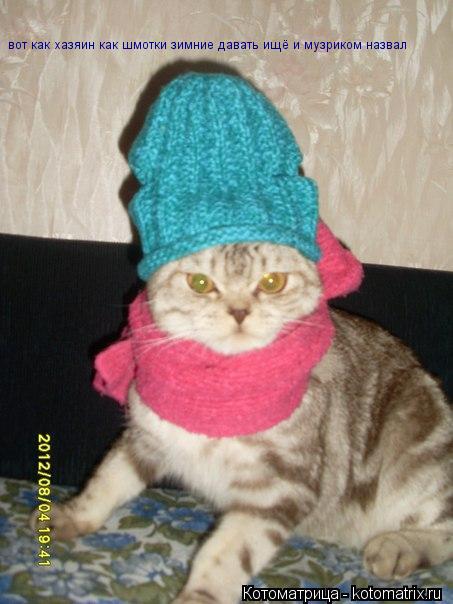 Котоматрица: вот как хазяин как шмотки зимние давать ищё и музриком назвал
