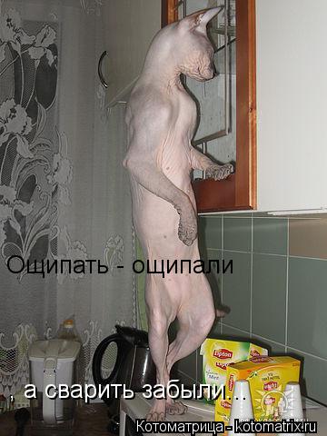 Ощипать - ощипали , а сварить забыли...... Котоматрица: Ощипать - ощипали , а сварить забыли...