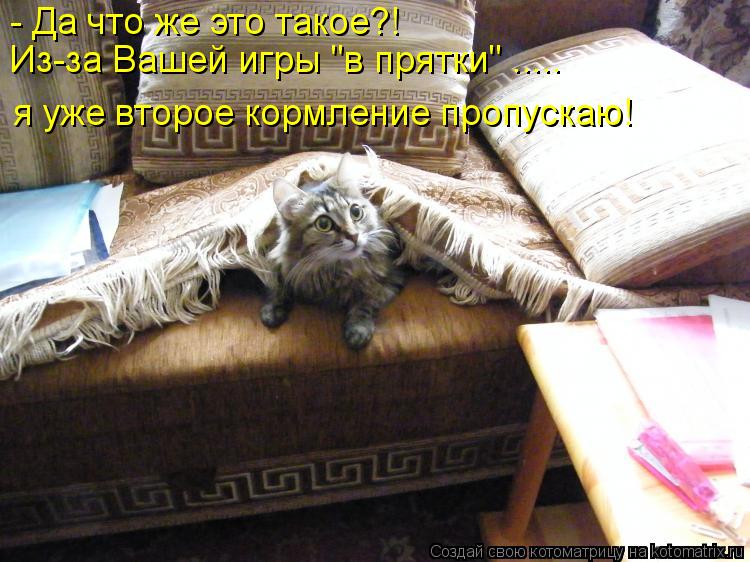 - Да что же это такое?! Из-за Вашей игры "в прятки" ..... я уже второе кормление пропускаю!... Котоматрица: - Да что же это такое?! Из-за Вашей игры "в прятки" ..... я уже второе кормление пропускаю!