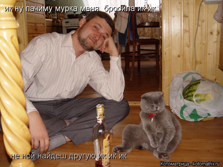 Котоматрица: ик ну пачиму мурка меня  бросила ик ик  не ной найдеш другую ик ик ик