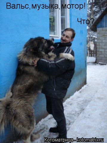 Вальс,музыка,мотор! Что?... Котоматрица: Вальс,музыка,мотор! Что?