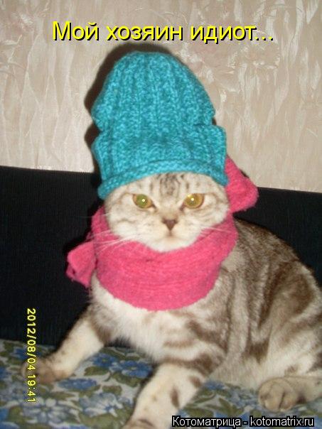 Котоматрица: Мой хозяин идиот...
