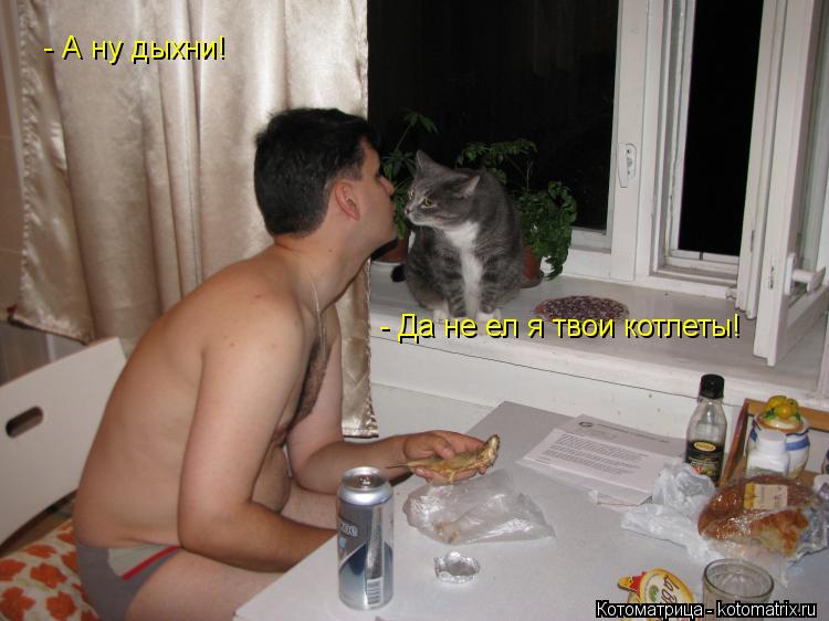 Котоматрица: - А ну дыхни! - Да не ел я твои котлеты!