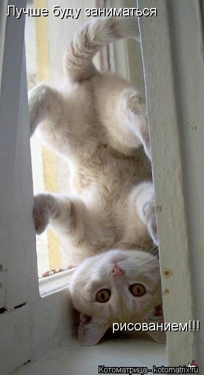 Котоматрица: Лучше буду заниматься рисованием!!!