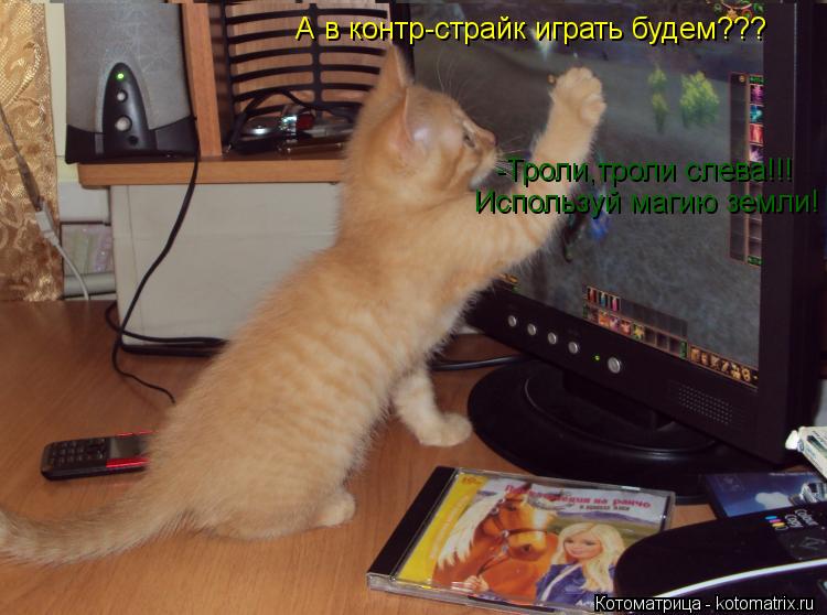Котоматрица: -Троли,троли слева!!! А в контр-страйк играть будем??? Используй магию земли!