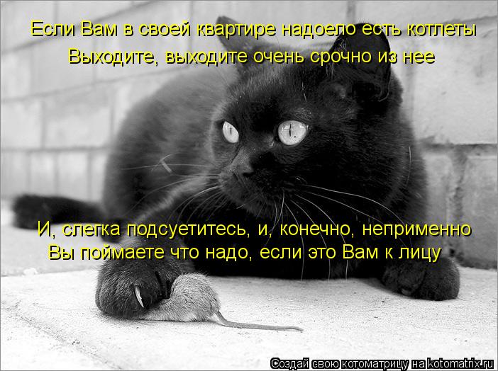 Если Вам в своей квартире надоело есть котлеты Выходите, выходите очень срочно из нее И, слегка подсу... Котоматрица: Если Вам в своей квартире надоело есть котлеты Выходите, выходите очень срочно из нее И, слегка подсуетитесь, и, конечно, неприменно Вы пойм