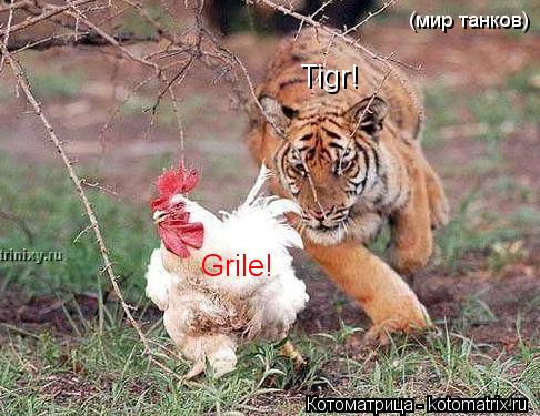 Котоматрица: Grile! Tigr! (мир танков)