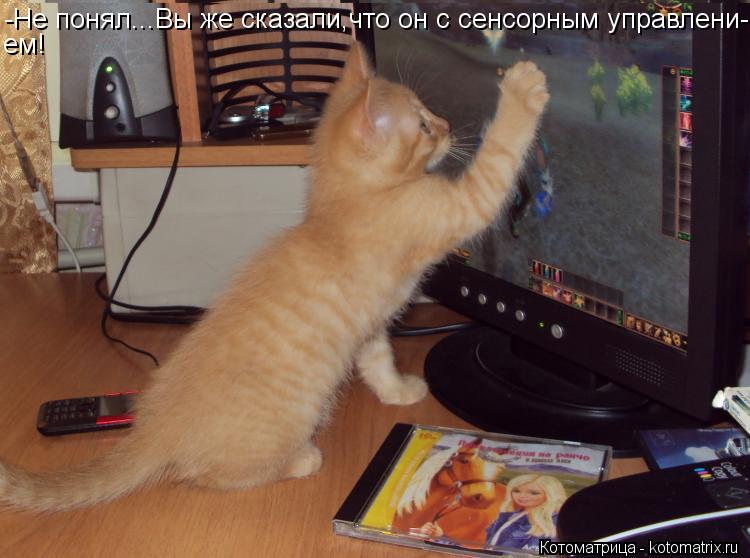 Котоматрица: -Не понял...Вы же сказали,что он с сенсорным управлени- ем!