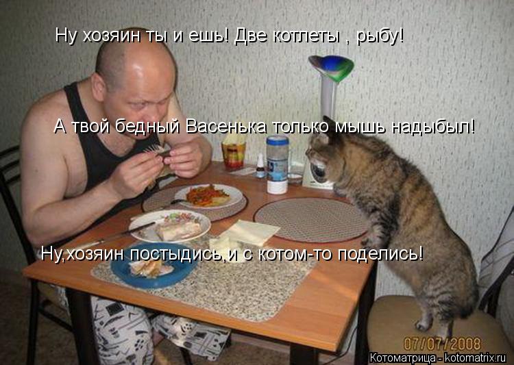А твой бедный Васенька только мышь надыбыл! Ну хозяин ты и ешь! Две котлеты , рыбу! Ну,хозяин постыди... Котоматрица: А твой бедный Васенька только мышь надыбыл! Ну хозяин ты и ешь! Две котлеты , рыбу! Ну,хозяин постыдись,и с котом-то поделись!