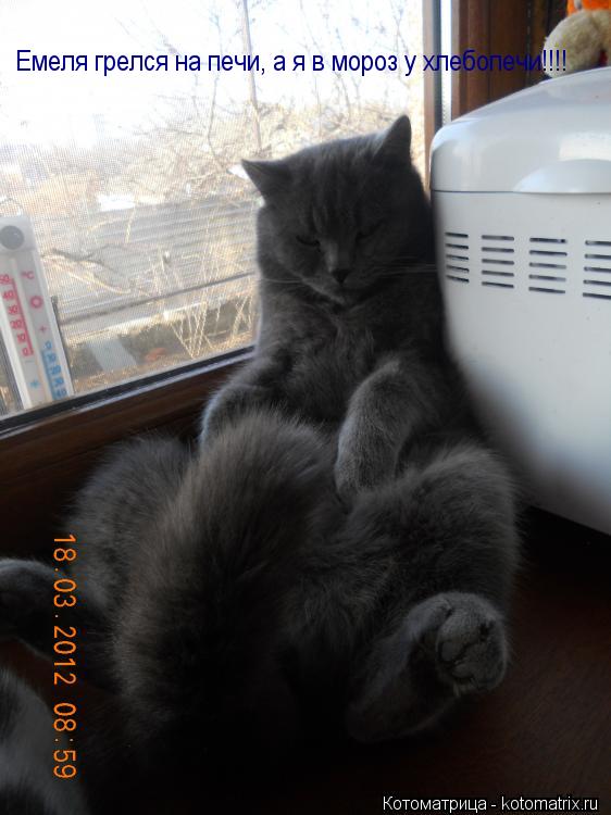 Емеля грелся на печи, а я в мороз у хлебопечи!!!!... Котоматрица: Емеля грелся на печи, а я в мороз у хлебопечи!!!!