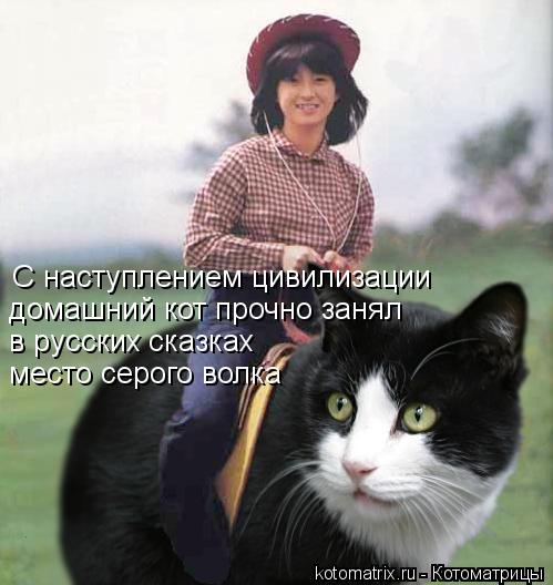 Котоматрица: С наступлением цивилизации домашний кот прочно занял в русских сказках место серого волка