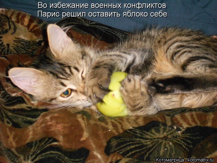 Котоматрица: Во избежание военных конфликтов Парис решил оставить яблоко себе