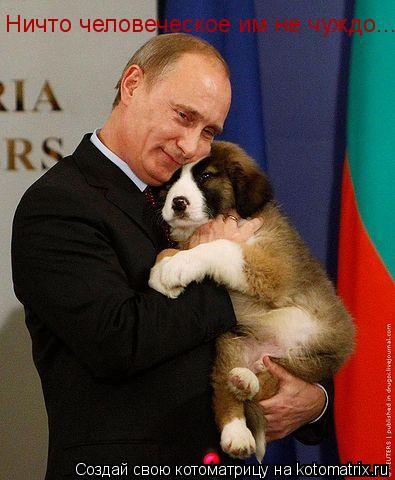 Котоматрица: Ничто человеческое им не чуждо...