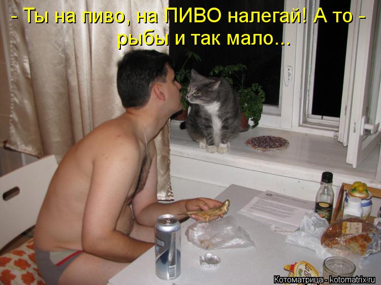 Котоматрица: - Ты на пиво, на ПИВО налегай! А то -  рыбы и так мало...