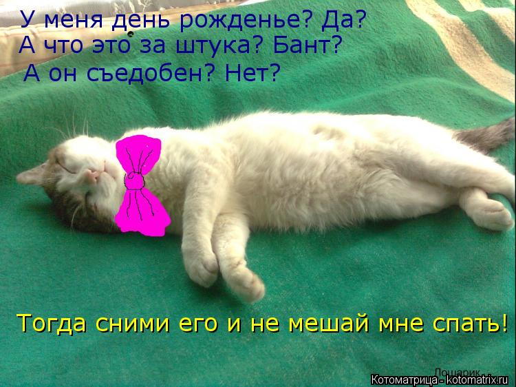 У меня день рожденье? Да? А что это за штука? Бант? А он съедобен? Нет? Тогда сними его и не мешай м... Котоматрица: У меня день рожденье? Да? А что это за штука? Бант? А он съедобен? Нет? Тогда сними его и не мешай мне спать!